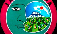 Company