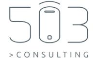 503 Consulting