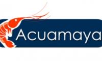 ACUAMAYA