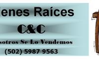 Company