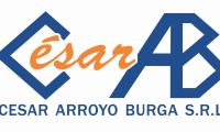 CESAR ARROYO BURGA SRL