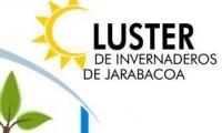 Cluster de Invernaderos de Jarabacoa