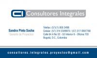 Consultores Integrales