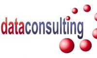 Data Consulting
