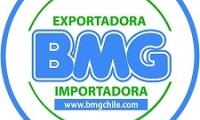 Exportadora e Importadora B.M.G Chile