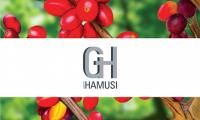 GRUPO HAMUSI SA DE CV
