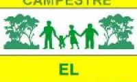 Company