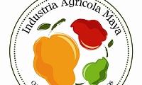 INDUSTRIA AGRICOLA MAYA S.A. DE C.V.