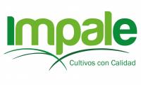 Impale Agrícola S.A.