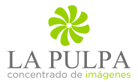 Company