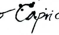 Mio Capriccio Gourmet