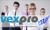 VEXPRO CONSULTORES LTDA