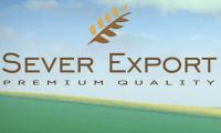 Sever Export LLC