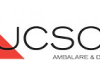Company