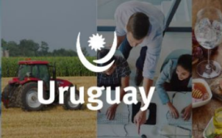 Rodada Virtual Multissetorial de Negócios com empresas uruguaias