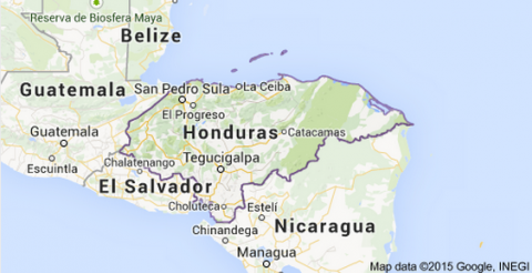New financing models for the high value agricultural products sector