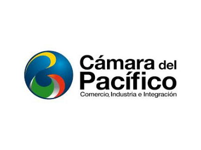 Webinar Grandes Líderes en la Región Encuentro II