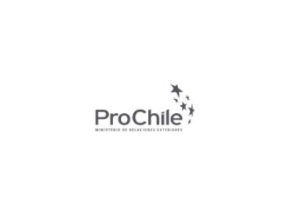 Encuentro audiovisual Chile – China