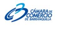 Programa TecDigital - Conoce cómo acceder a asesorías gratuitas con expertos en tecnologías avanzadas y emergentes
