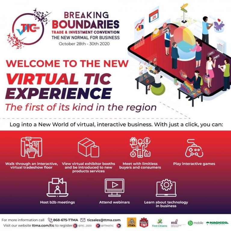 Virtual TIC Experience