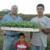 Elvis Borjas's picture