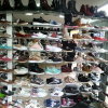 Diana Gonzalez's picture