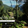 Leydi Yohana Guerrero's picture