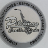 Imagen de Miguel Ramon Castillo Albo