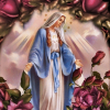 Hector Alberto Sanmiguel Galeano's picture