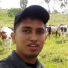 J ANDRES GUTIERREZ TOVAR's picture
