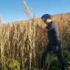 Jonathan Contreras Gavino's picture