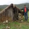 ESTEBAN SABAS Atoche's picture