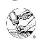 Berkeley Woodworking, Inc.'s picture