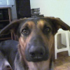 Lucas Loizaga's picture