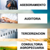 Imagen de CONSULTORA PIRIZ