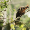 Rafael Clavijo's picture