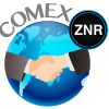 Gestiones Comercio Exterior y Soluciones Integradas SpA's picture