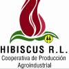 Carlos Jose Martinez Palacios's picture