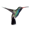 Libardo Mejia's picture