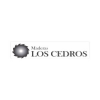 Imagen de Maritza Yandun Meneses