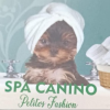 Imagen de TIENDA Y SPA PELITO FASHION