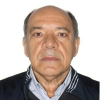 Imagen de LUIZ FERNANDES DE FREITAS