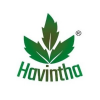 Imagen de Havintha IN