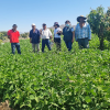 ASOc DE PRODUCTORES AGROPECUARIOS EL HUAYO VIRU's picture