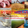 SISTEK TRADE EXPORTA BRASIL's picture